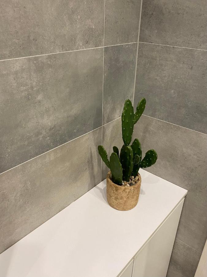 Apartament Foresta 카르파츠 외부 사진